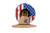AP Straw Hat-Declaration